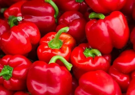 تصویر 2 از فلفل دلمه‌ ای قرمز با ماندگاری بالا و کیفیت مطلوب